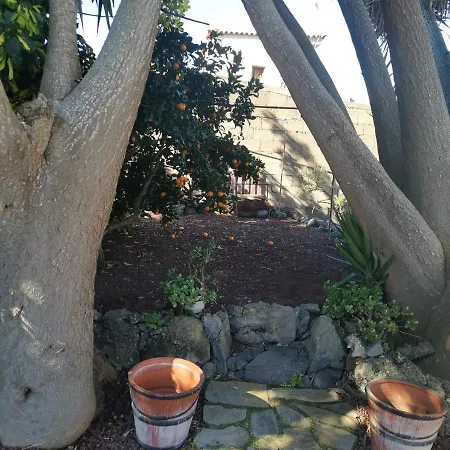 Rosa Vieja Santa Cruz de Tenerife