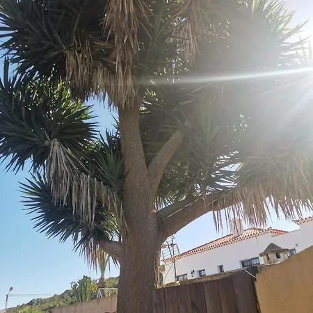 Holiday home Rosa Vieja